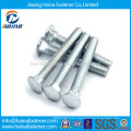 Stainless Steel ss316 Carriage Bolt